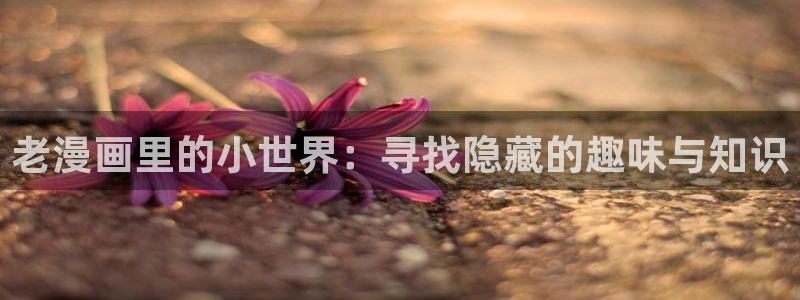 耽美漫画在线免费
