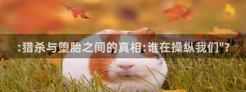 耽美漫画网免费