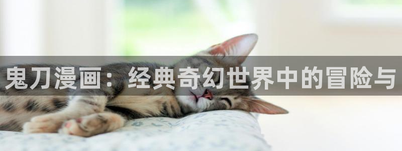 耽美漫画免费观看